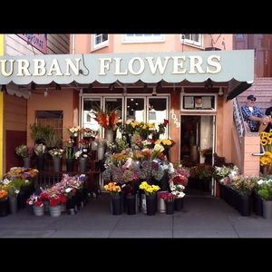 Meet your Posher, Pamela